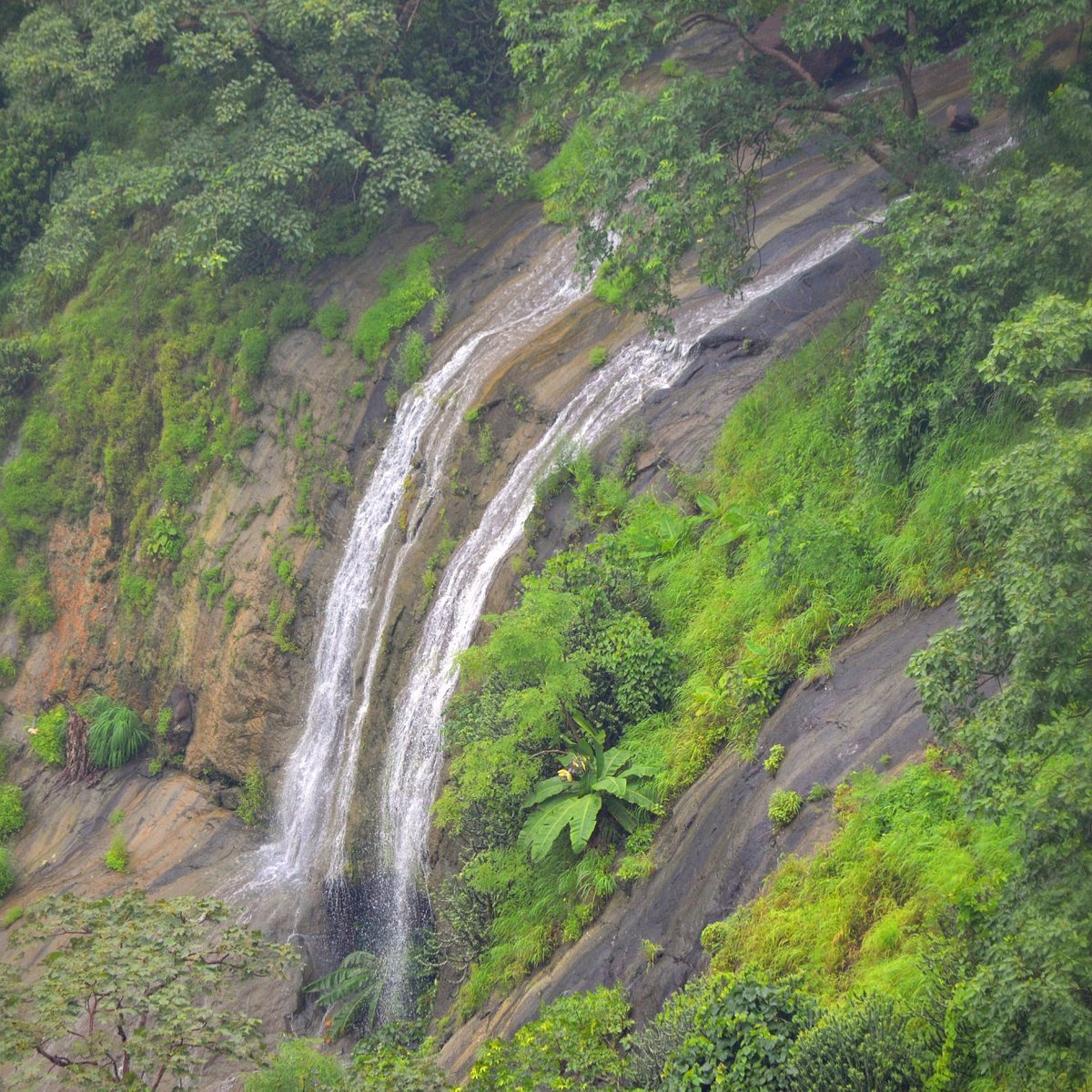 Gautala Autramghat Sanctuary